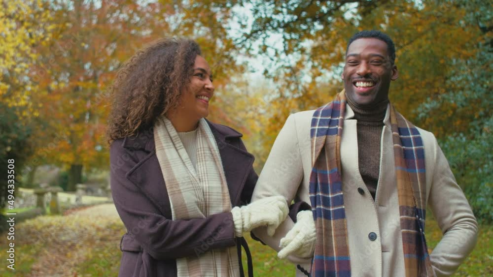 Young romantic couple walking arm in arm in autumn countryside - shot in slow motion Young romantic couple walking arm in arm in autumn countryside - shot in slow motion