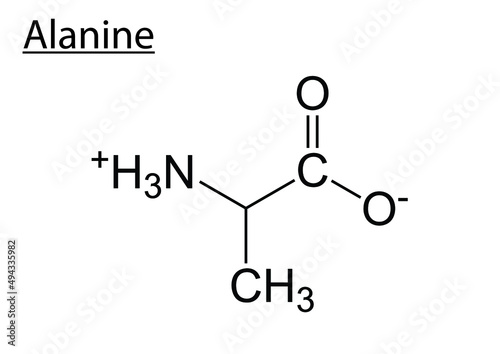 Vector of the chemical structures of amino acid alanine photo