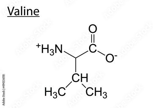 Vector of the chemical structures of amino acid valine