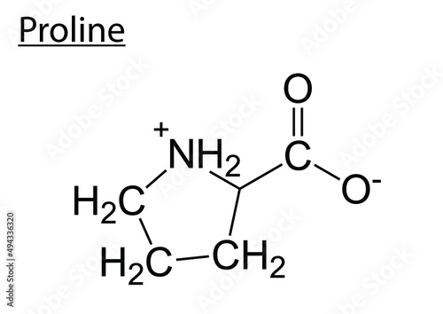 Vector of the chemical structures of amino acid proline photo