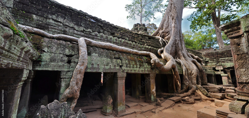 Fototapeta premium Famous Ta Prohm with Banyan tree in Angkor Wat temple in Siem Reap, Cambodia