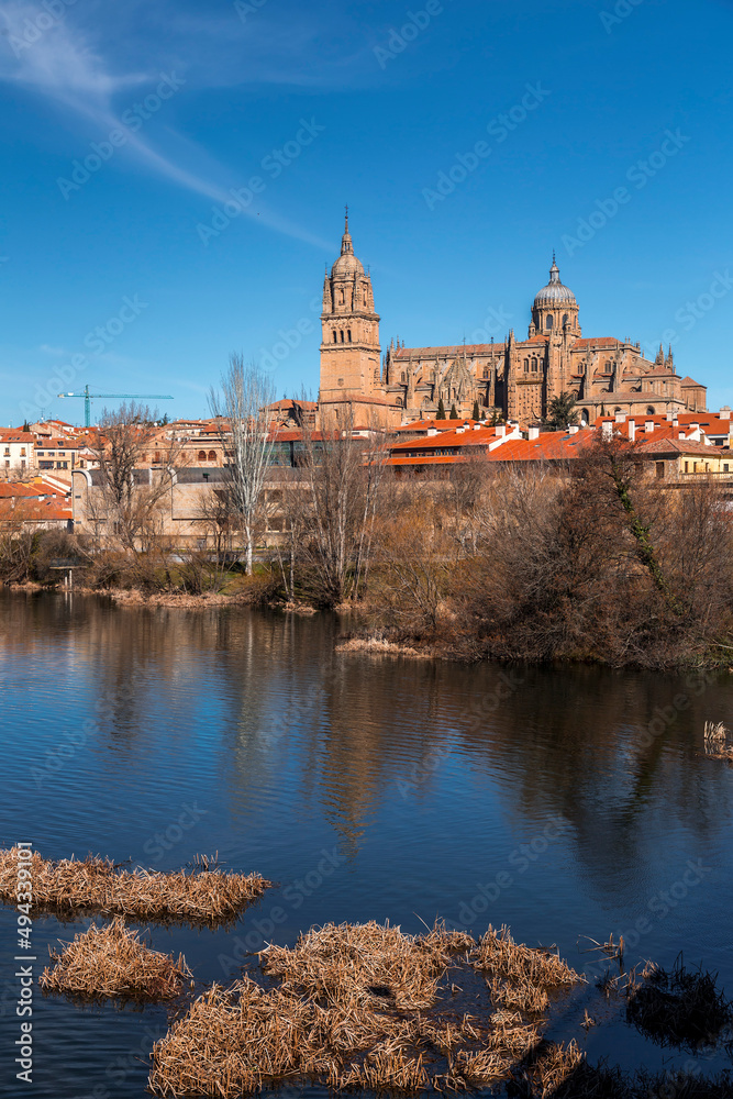Obraz premium Salamanca skyline view with Cathedral and Enrique Estevan Bridge on Tormes River, Spain