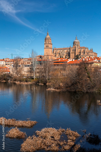 Salamanca skyline view with Cathedral and Enrique Estevan Bridge on Tormes River, Spain