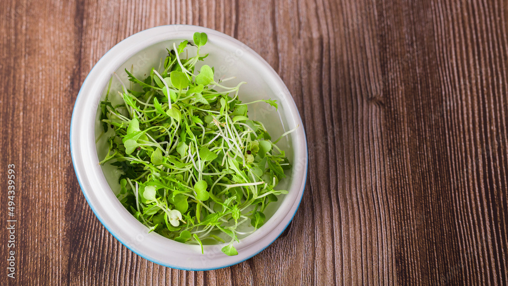 healthy arugula sprouts, in the plate healthy arugula sprouts, in the plate