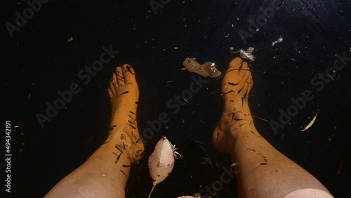 Фотография Friendly baby fish swimming around fee