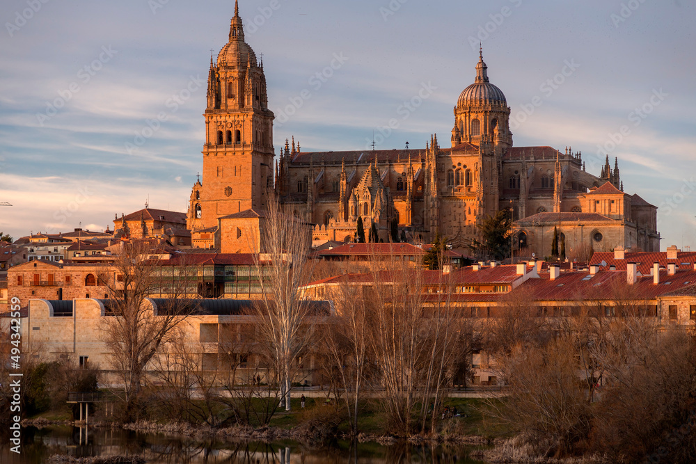 Salamanca Skyline view with Cathedral and Enrique Estevan Bridge on Tormes River, Spain