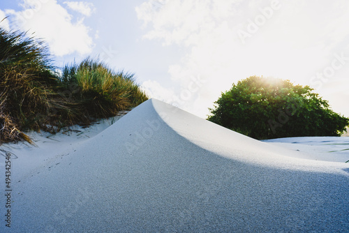 White colored sand of Aramoana beach with bushes and the sunny sky in the background photo