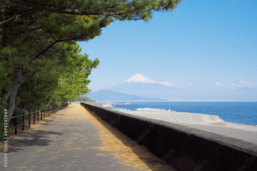 Obraz premium 美しい三保の松原の雪山と海の風景