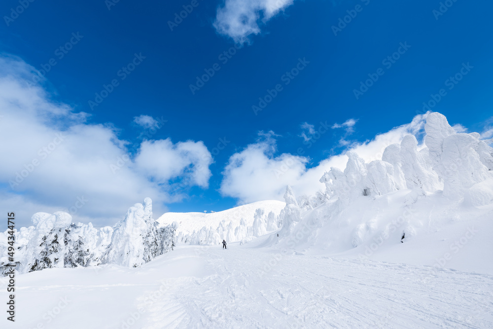 日本　山形蔵王白銀世界の樹氷とスキー場ゲレンデ