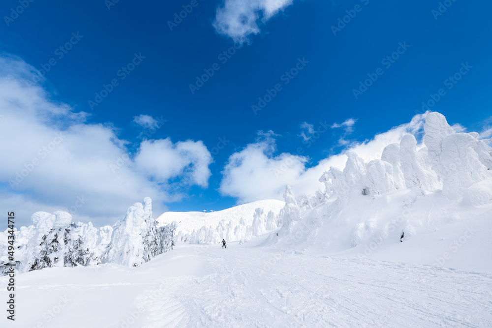 Fototapeta premium 日本 山形蔵王白銀世界の樹氷とスキー場ゲレンデ