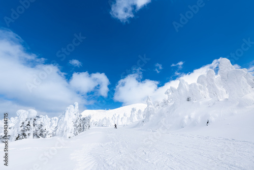日本　山形蔵王白銀世界の樹氷とスキー場ゲレンデ