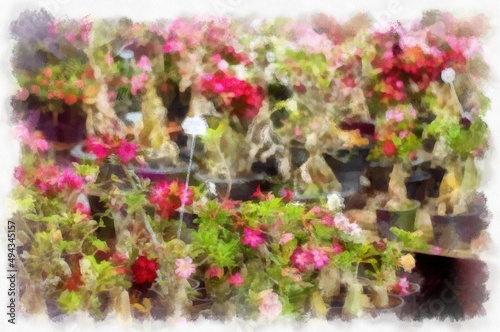 Wallpaper Mural Many colorful plants and flowers in the plant shop watercolor style illustration impressionist painting. Torontodigital.ca