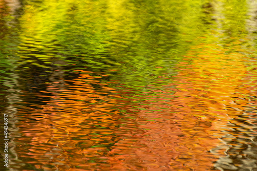 Closeup shot of a colorul water texture with reflections of trees photo