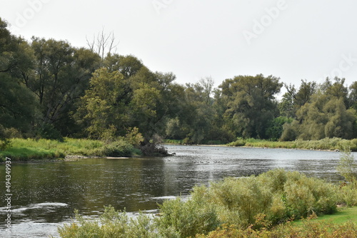 river running near grassy forested shore photo