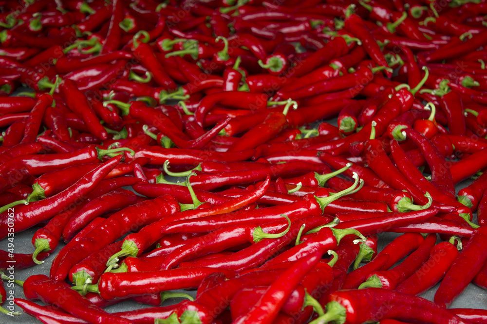 close up Red chili pepper.