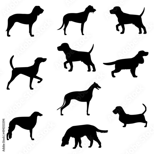 Fototapeta Naklejka Na Ścianę i Meble -  set of silhouettes of dogs