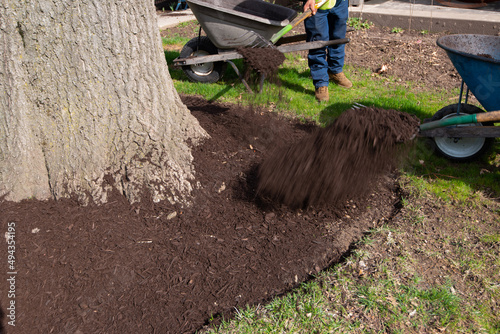 Фотография mulch work around the trees