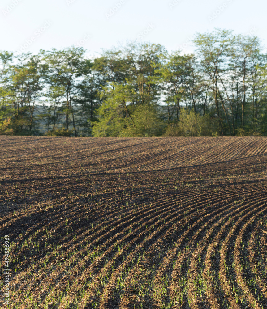 Agricultural lands are plowed, and prepared for vegetation.