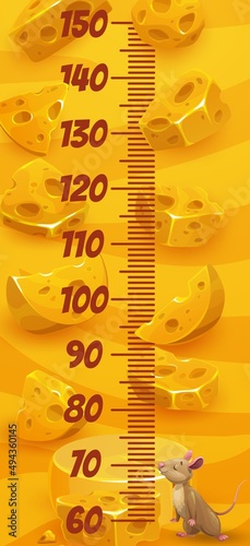 Cartoon mouse and cheese on kids height chart. Child height measure ruler vector sticker or kids growth meter template with cute mouse or rat character smelling swiss cheese pieces