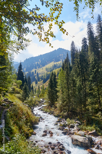 picturesque view of a mountain gorge overgrown with fir trees and a mountain river and a cloudy sky