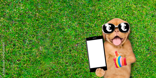 Happy mastiff puppy wearing sunglasses with dollars sign lies on green summer grass and shows thumbs up gesture and empty screen of smartphone. Top down view. Empty space for text © Ermolaev Alexandr