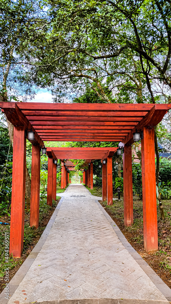 Naklejka premium Botanical Landscape of Xinglong South Medicine Garden, Hainan Province, China