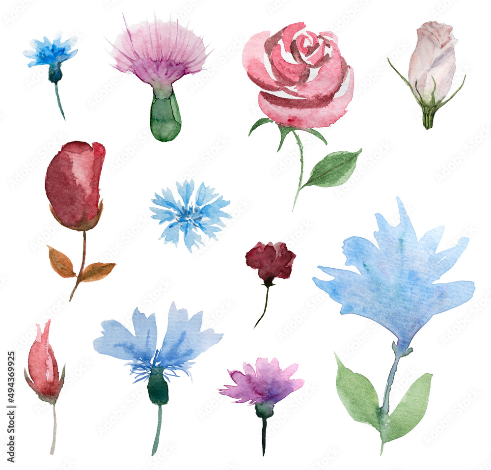 Watercolor pink and blue flower and leaves element collection