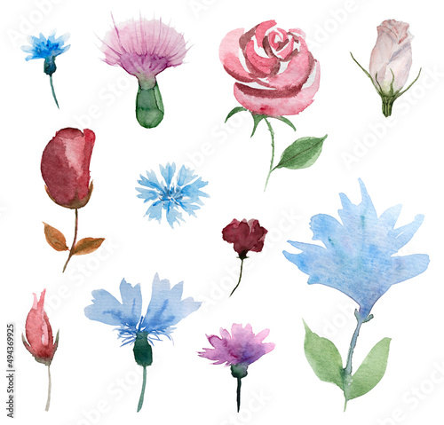 Watercolor pink and blue flower and leaves element collection