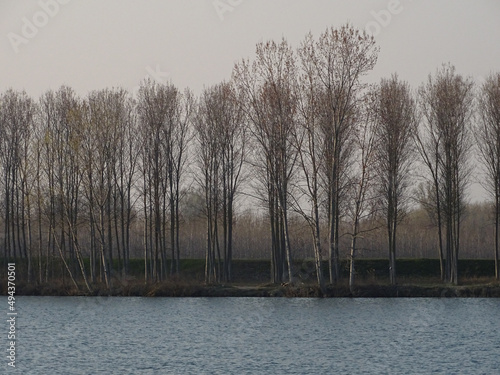 sunset in San Nazzaro , Emilia Romagna, Italy at the river Po photo