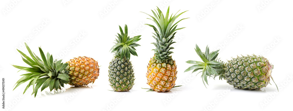 Pineapple on a white background Pineapple on a white background