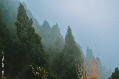 fog in the mountains