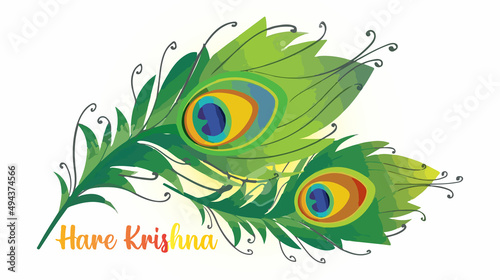 Hare Krishna with peacock feather isolated on the white background template.