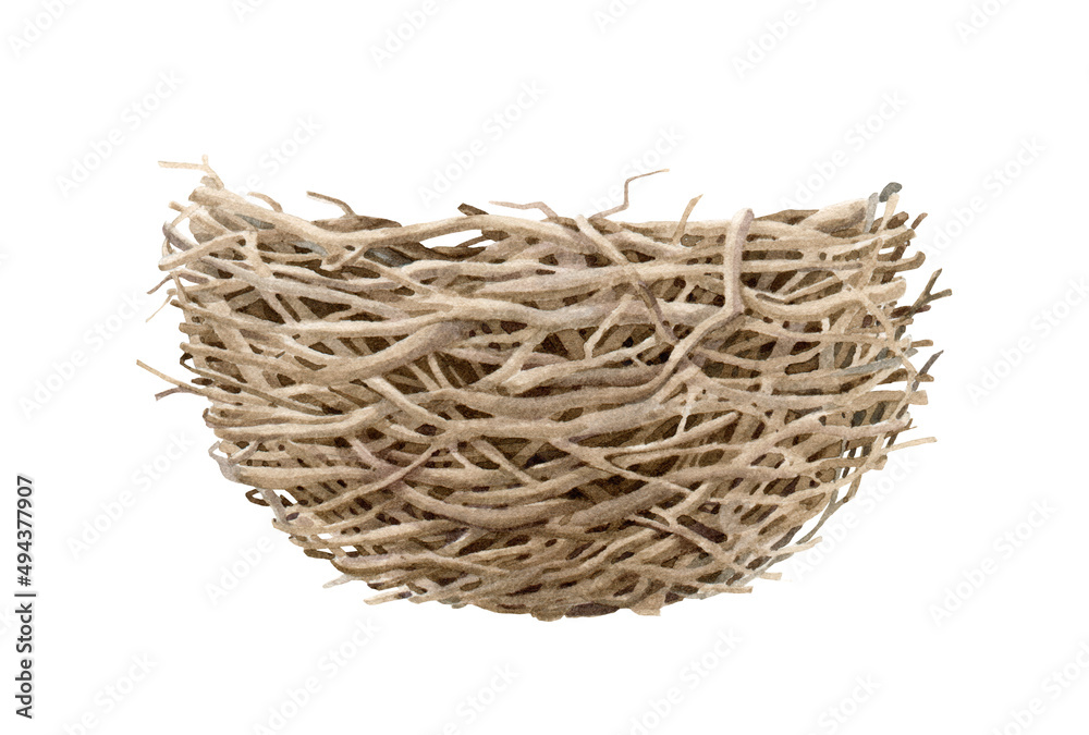 Bird nest watercolor illustration. Woodland rustic element. Hand drawn realistic bird nest made of sticks and twigs. Avian wicker house. Forest element on white background Bird nest watercolor illustration. Woodland rustic element. Hand drawn realistic bird nest made of sticks and twigs. Avian wicker house. Forest element on white background