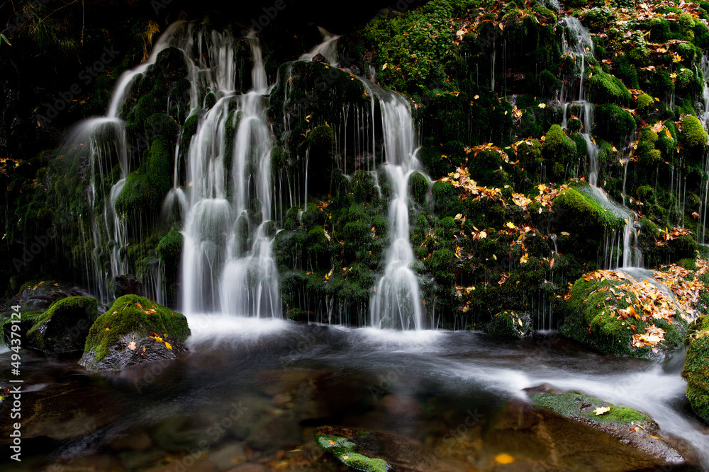 waterfall in the park waterfall in the park