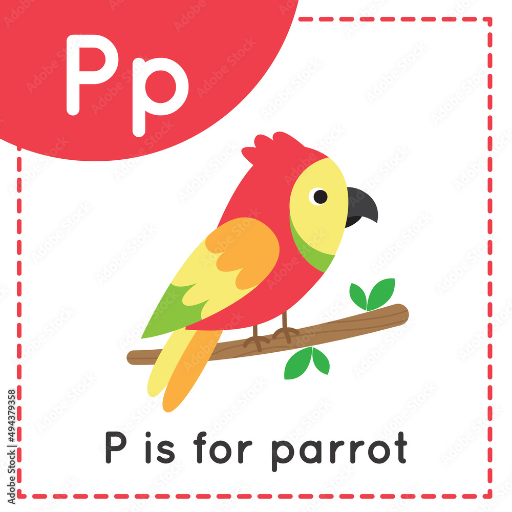Learning English alphabet for kids. Letter P. Cute cartoon parrot. Learning English alphabet for kids. Letter P. Cute cartoon parrot.