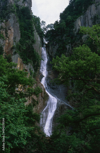 waterfall in the forest © 善征 野村