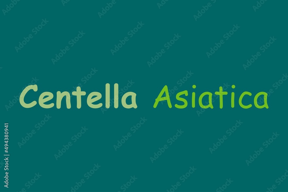 Fototapeta premium Centella Asiatica medicinal element typography text vector design. Medical science conceptual poster, banner, and t-shirt design.