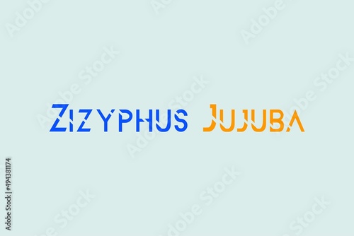 Zizyphus Jujuba medicinal element typography text vector design. Medical science conceptual poster, banner,  and t-shirt design. photo