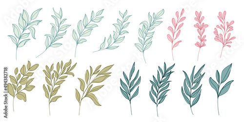 Line art leaf illustration vector on white background	
