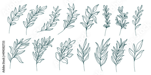 Line art leaf illustration vector on white background 