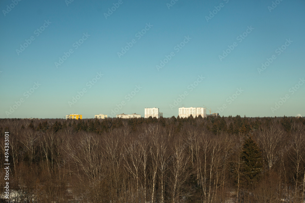 View over forest. Houses on horizon. Open space.