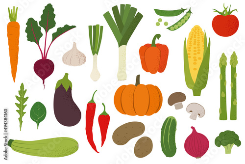 Vegetables. Tasty healthy food, organic, vegan. Flat vector illustration. Carrot, beet, garlic, onion, leek, pepper, peas, arugula, spinach, eggplant, chili, pumpkin, champignon, asparagus, zucchini.