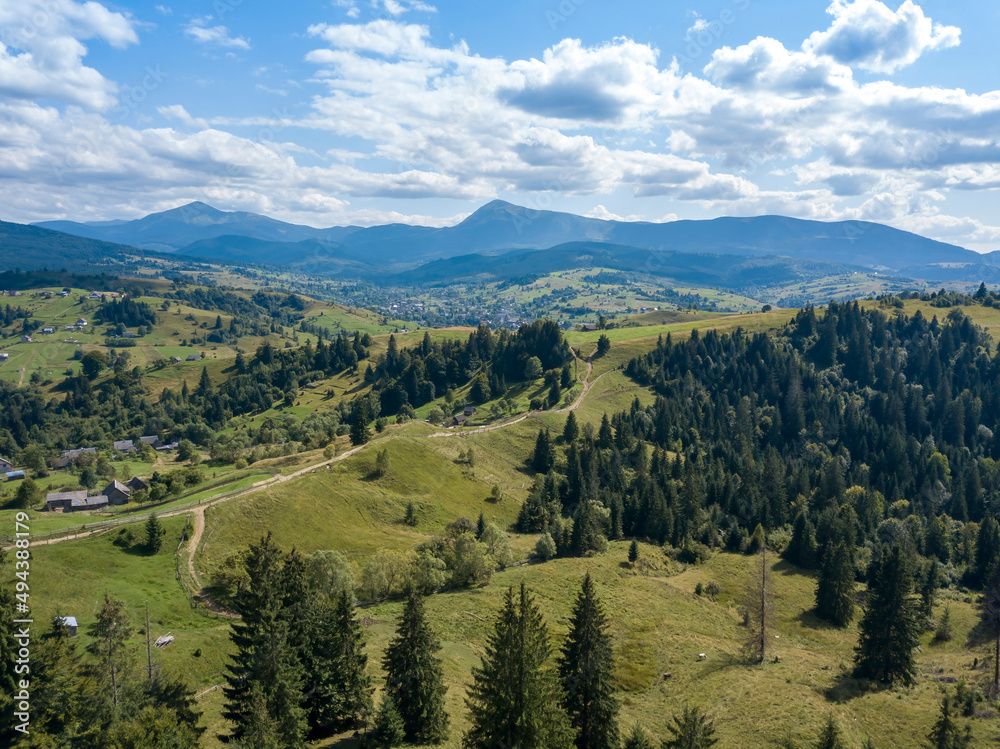 Naklejka premium Green mountains of Ukrainian Carpathians in summer. Coniferous trees on the slopes. Aerial drone view.