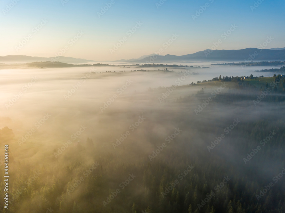 Morning fog in the Ukrainian Carpathians. Aerial drone view.