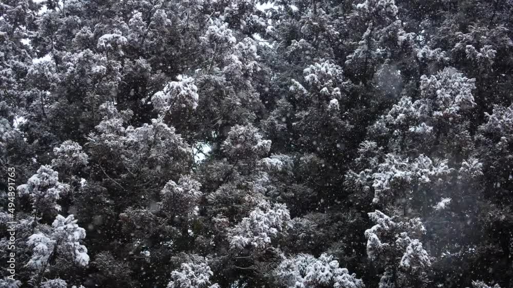 雪景色　長野県木曽郡上松町　日本