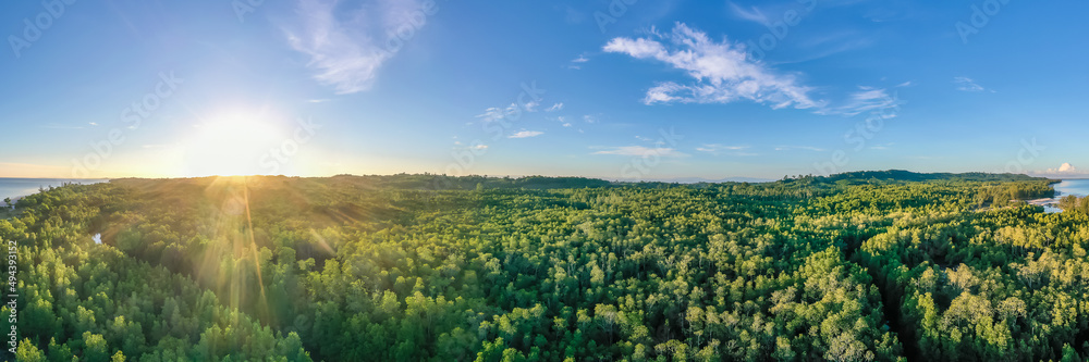 aerial view of mangrove forest at Sabah Borneo, Malaysia.