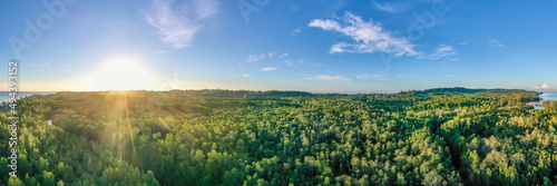 Obraz na płótnie aerial view of mangrove forest at Sabah Borneo, Malaysia. w salonie