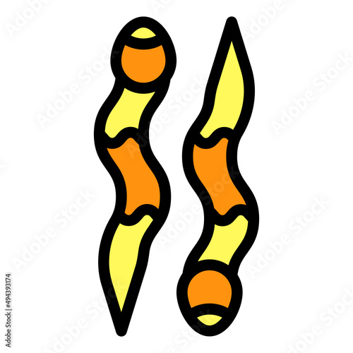 Leech