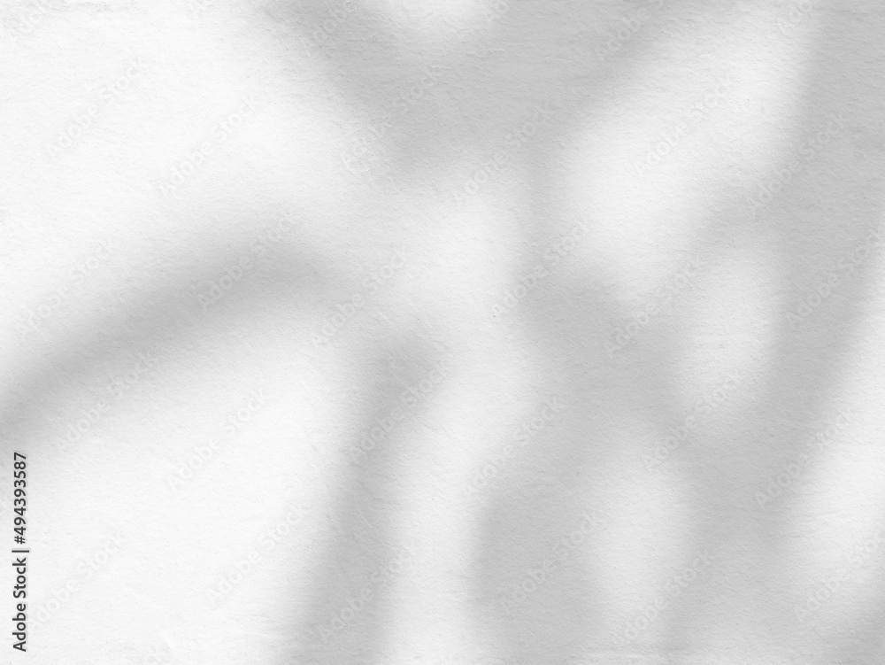 Obraz premium Gray shadow of the leaves on cement wall.