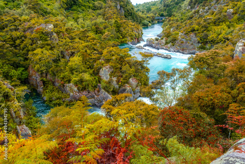 Amazing views on coastal track hiking on mountain side at Mercer Bay  New Zealand